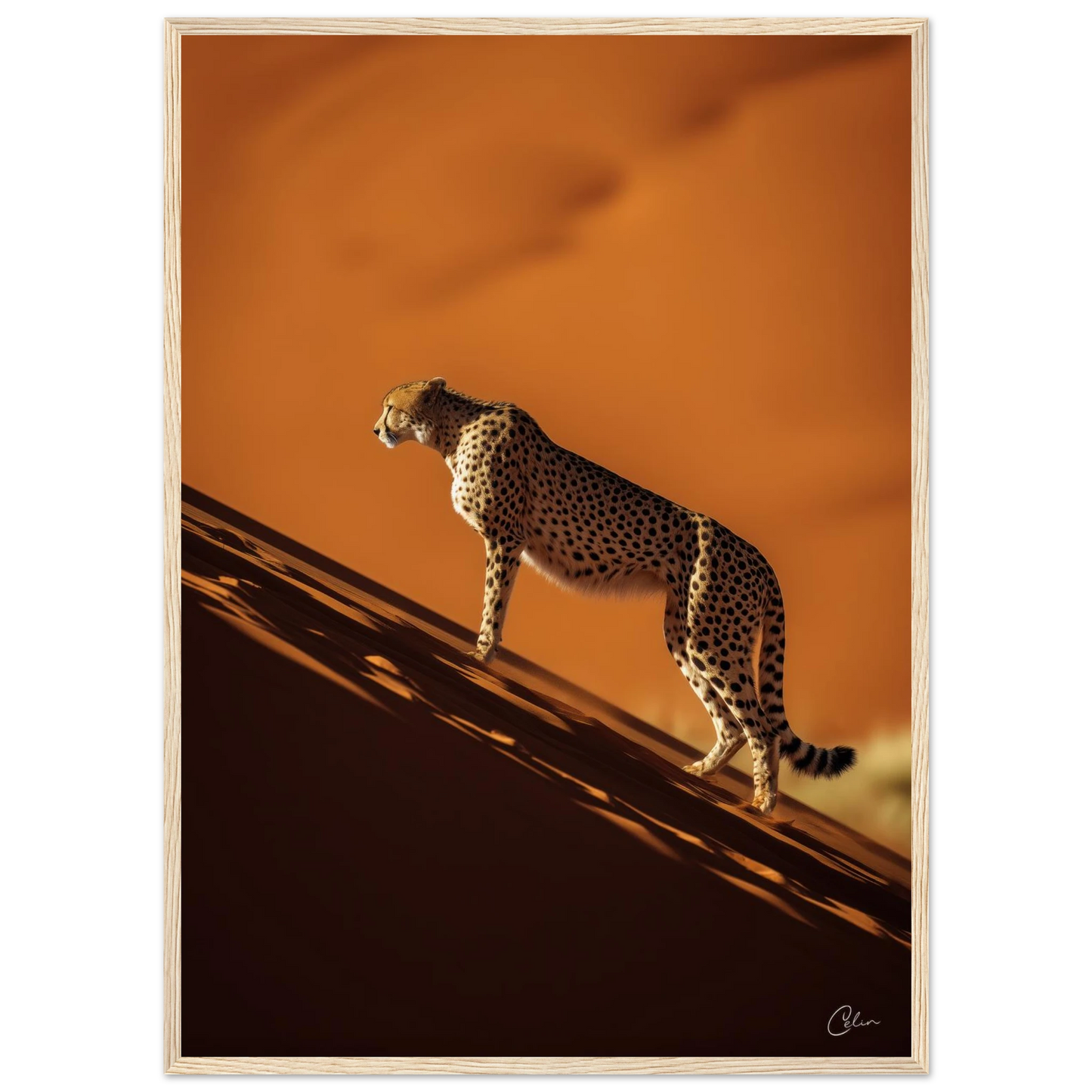 01ade213-6102-4a1e-9a70-3afcf82b8392