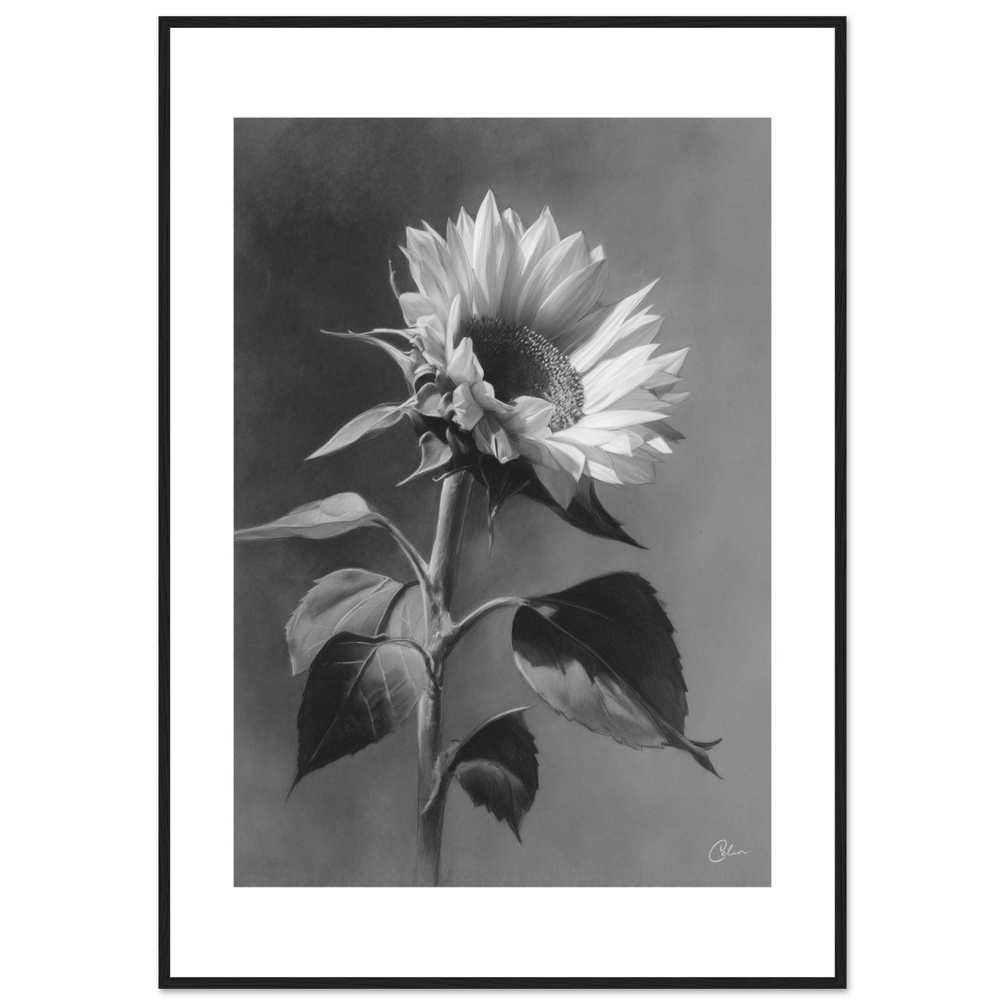 0496a21c-29ce-4927-bf7e-7c73febad2eb