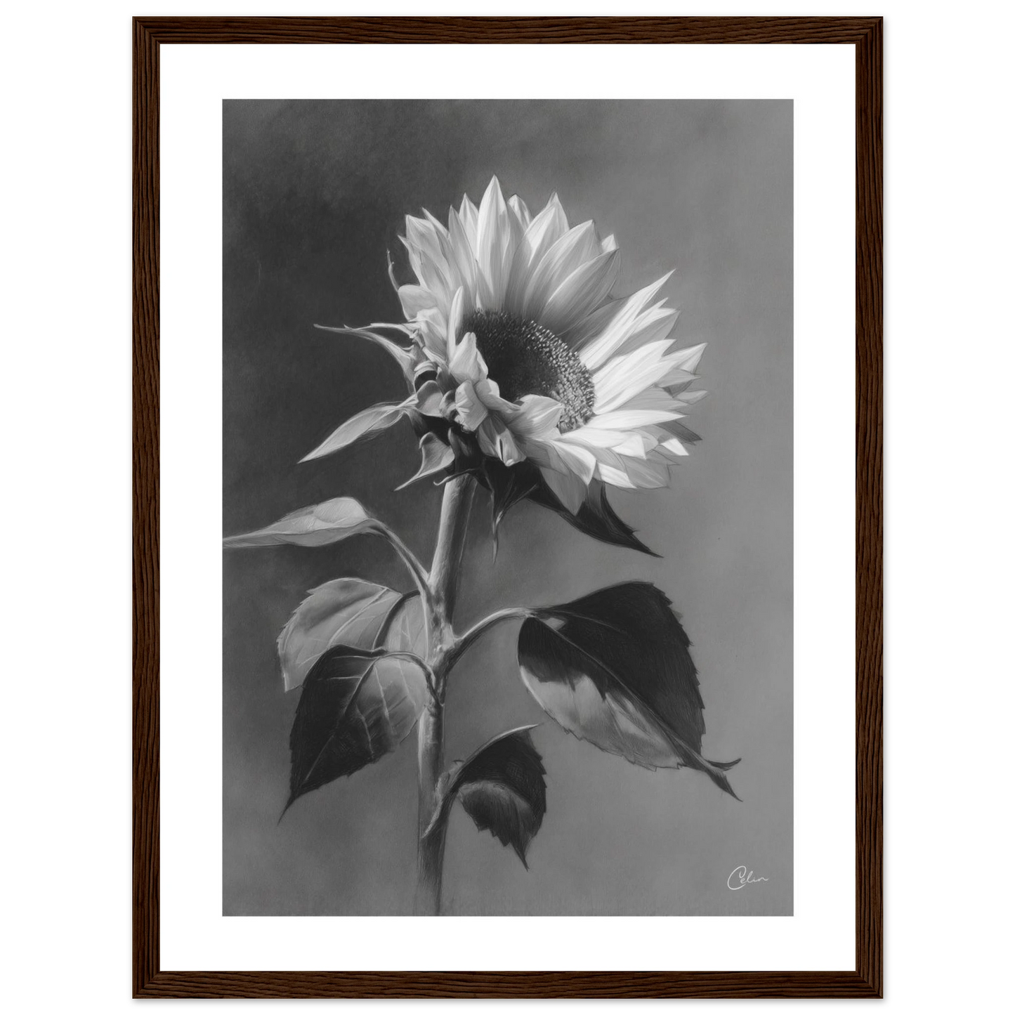 04b8bfb0-513d-405f-9af6-d564fec54a03