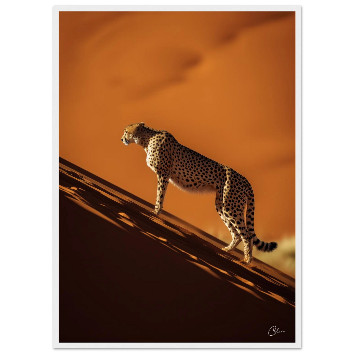 22a0b048-dd3e-40d7-ad24-4afbed6746d3