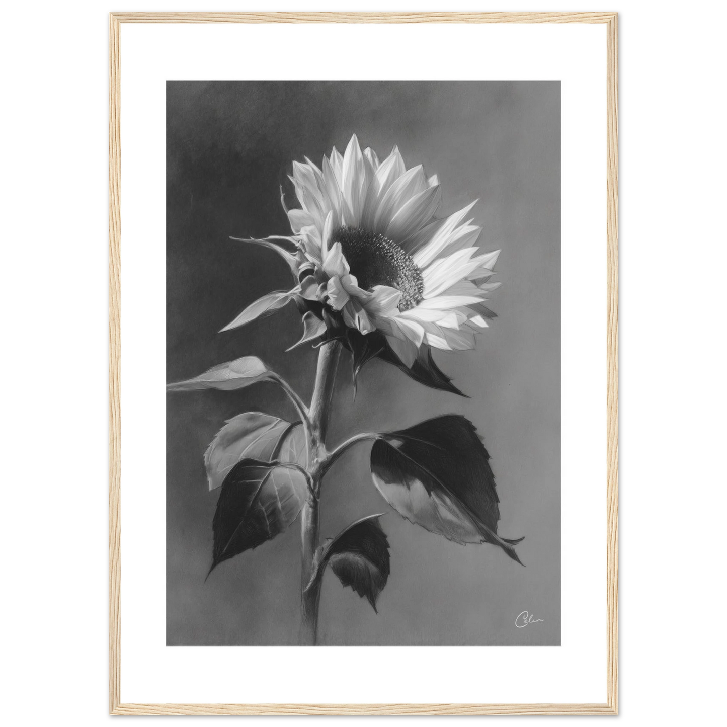 33159f23-f082-440b-80b1-afc05a2bda61