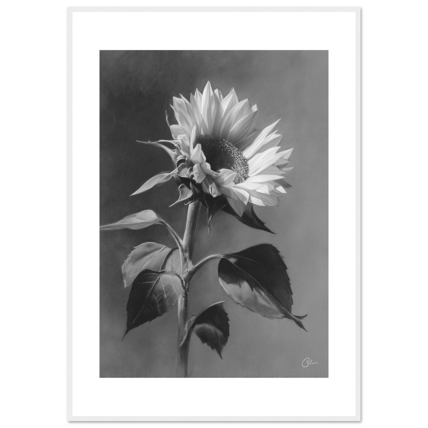 3363dfc6-2701-4cb8-bbb1-2e5ee60b3f69