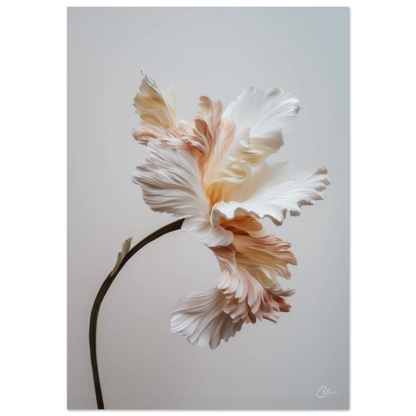 3ed0749e-f0ef-43e8-95a8-90c66afdb695