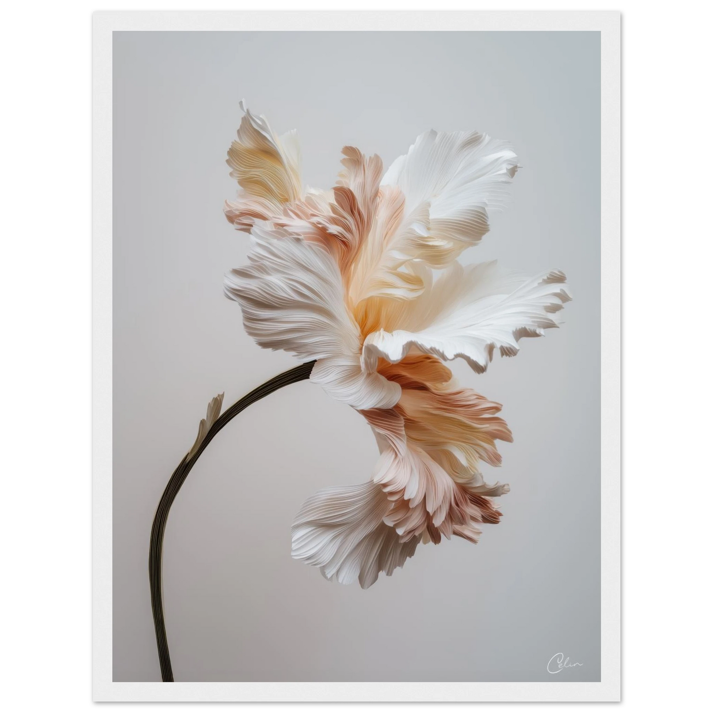 49d44c18-f132-4e22-a046-9ba7d796c797