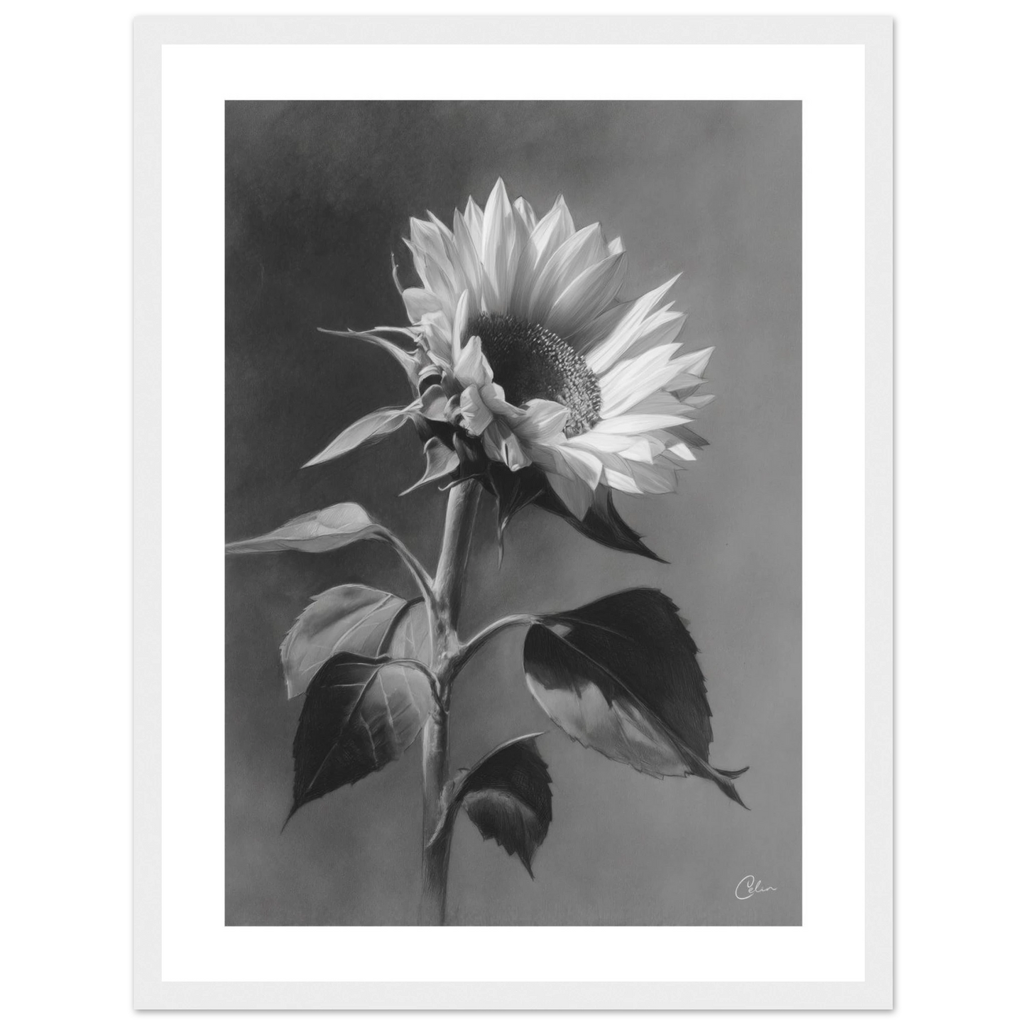 5be40133-4ed0-45ac-9e38-b384687fa168