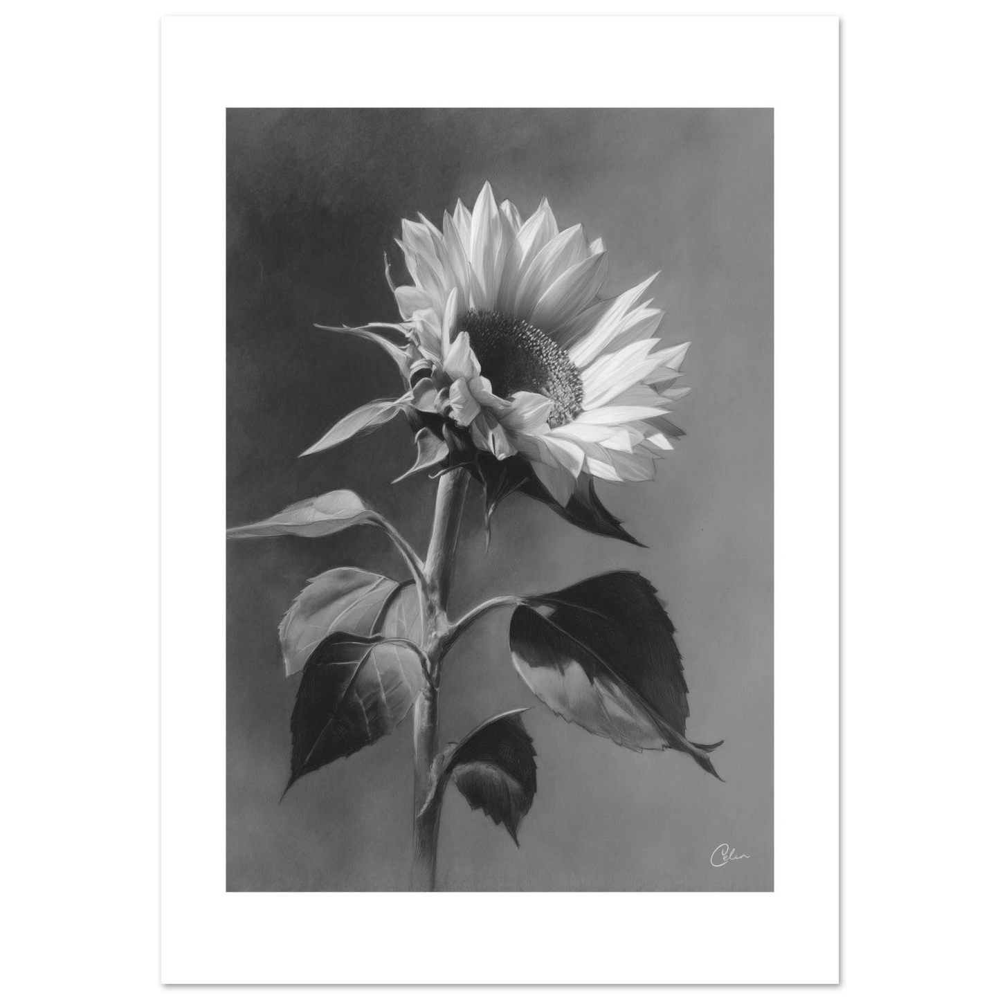 5d9863c4-c6ad-4bda-ba6a-71a0094f7cec