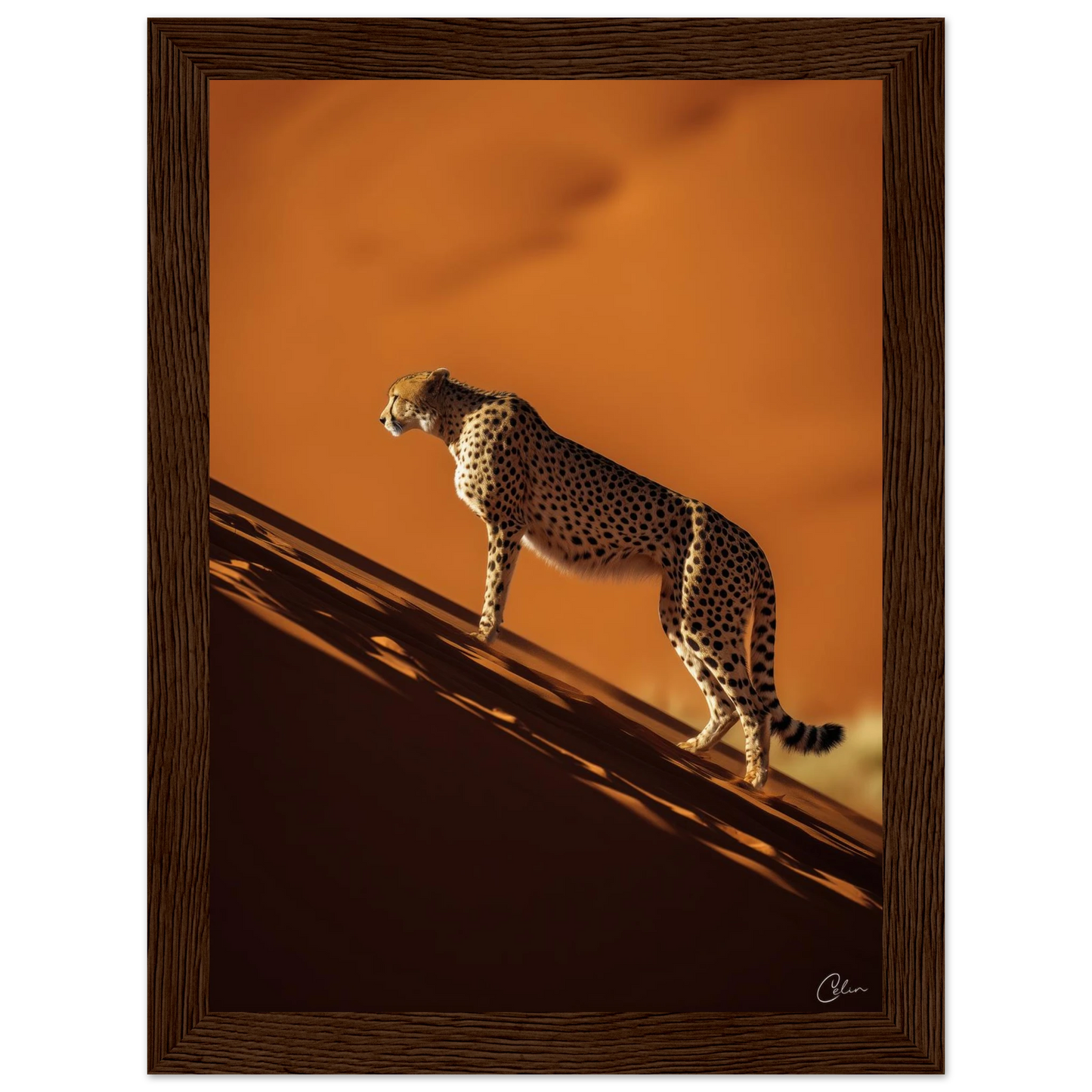 5fd7f2f0-2f3e-4ae2-804e-6be29da4352a