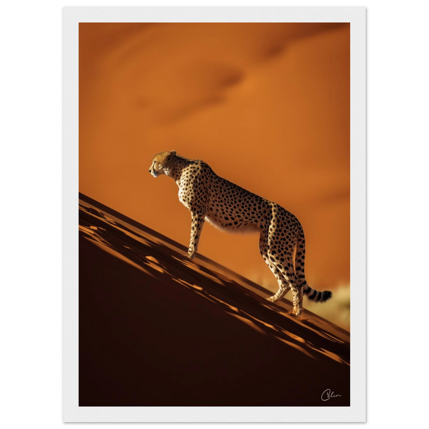 603740e4-00cc-4452-bf0a-c6fb61ca3be4