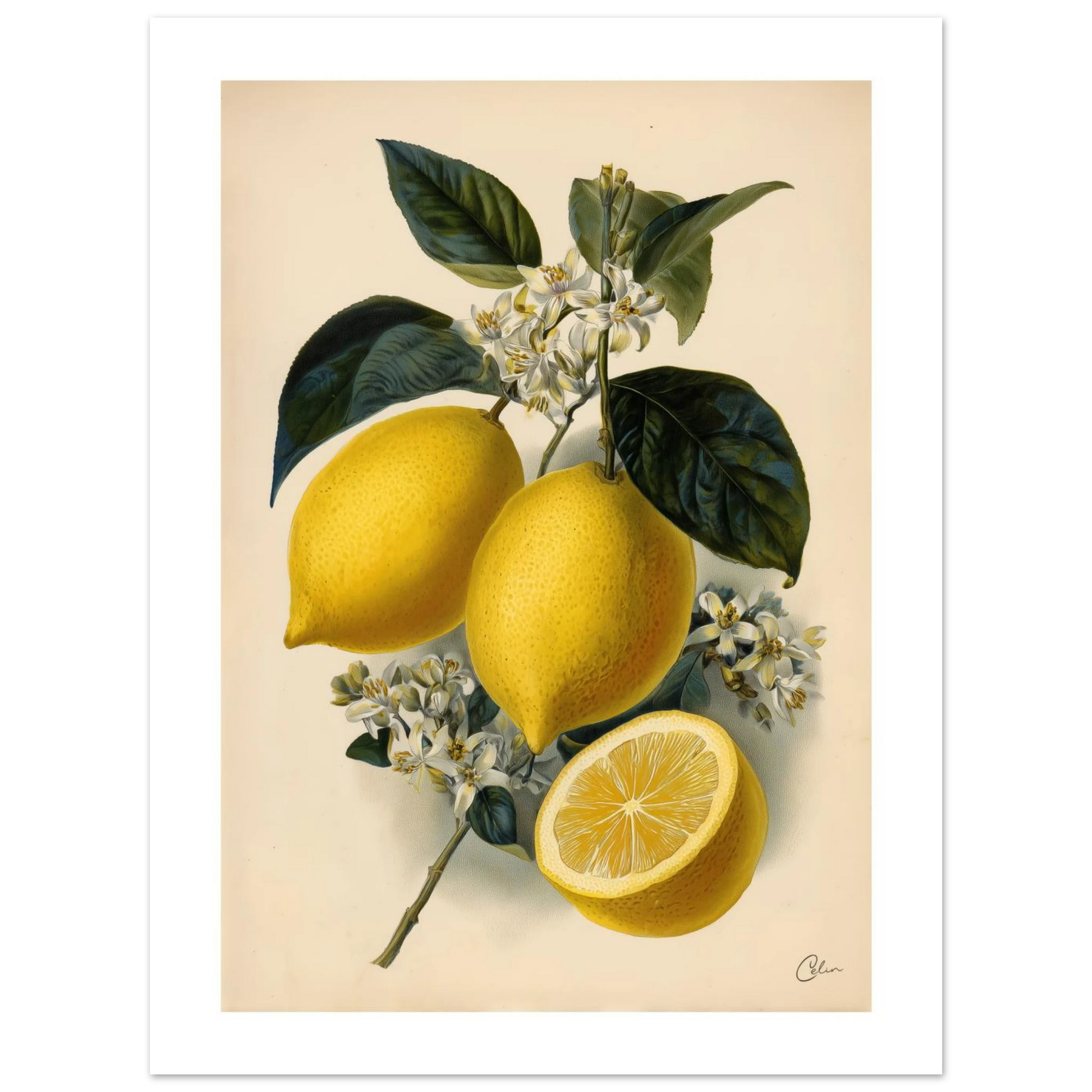 6461fc9a-2ae3-4edb-a581-f58445e7ce76