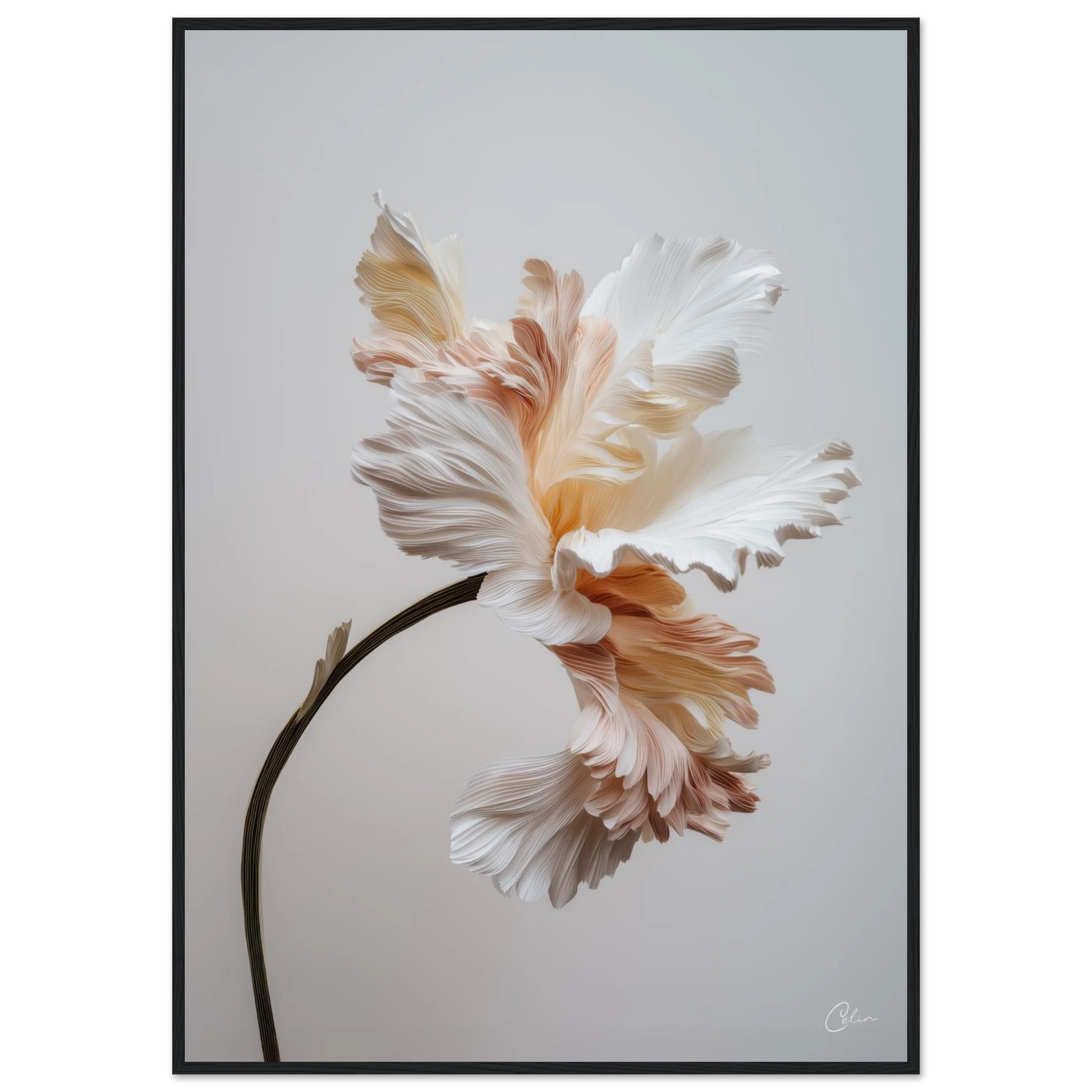 65ecf6f1-b06f-4da9-b0c1-406d11a054cc