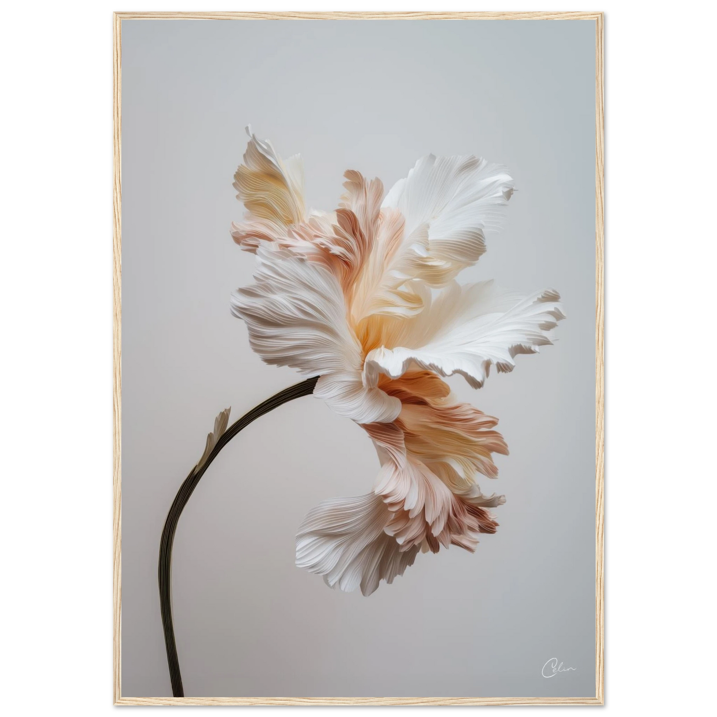 6807abb4-df51-430f-9e1b-97daa9868d2b