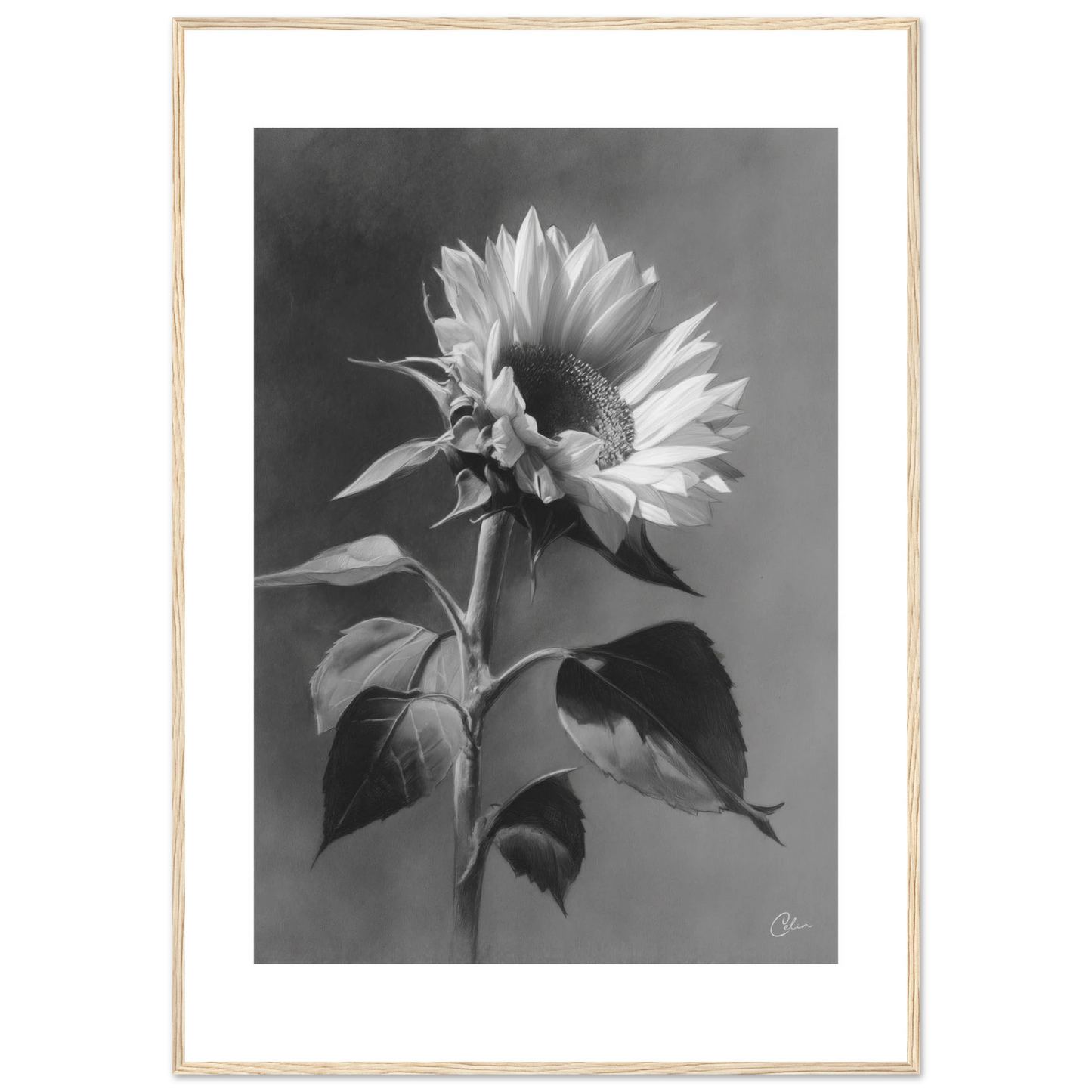 6d961e79-4b28-44c8-8537-8109446552c7