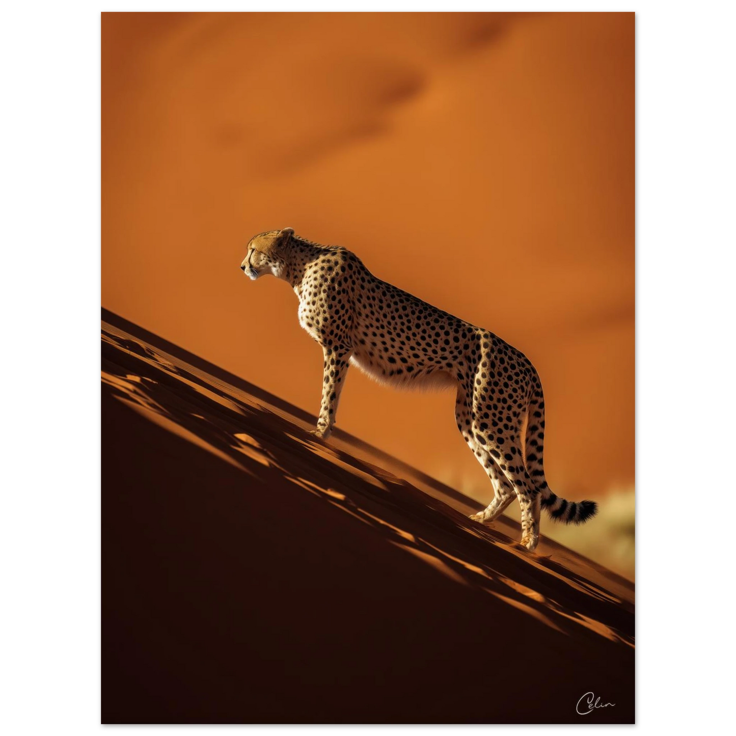 786a5b83-7bb2-48a9-bd8e-fd9050cf0ff6