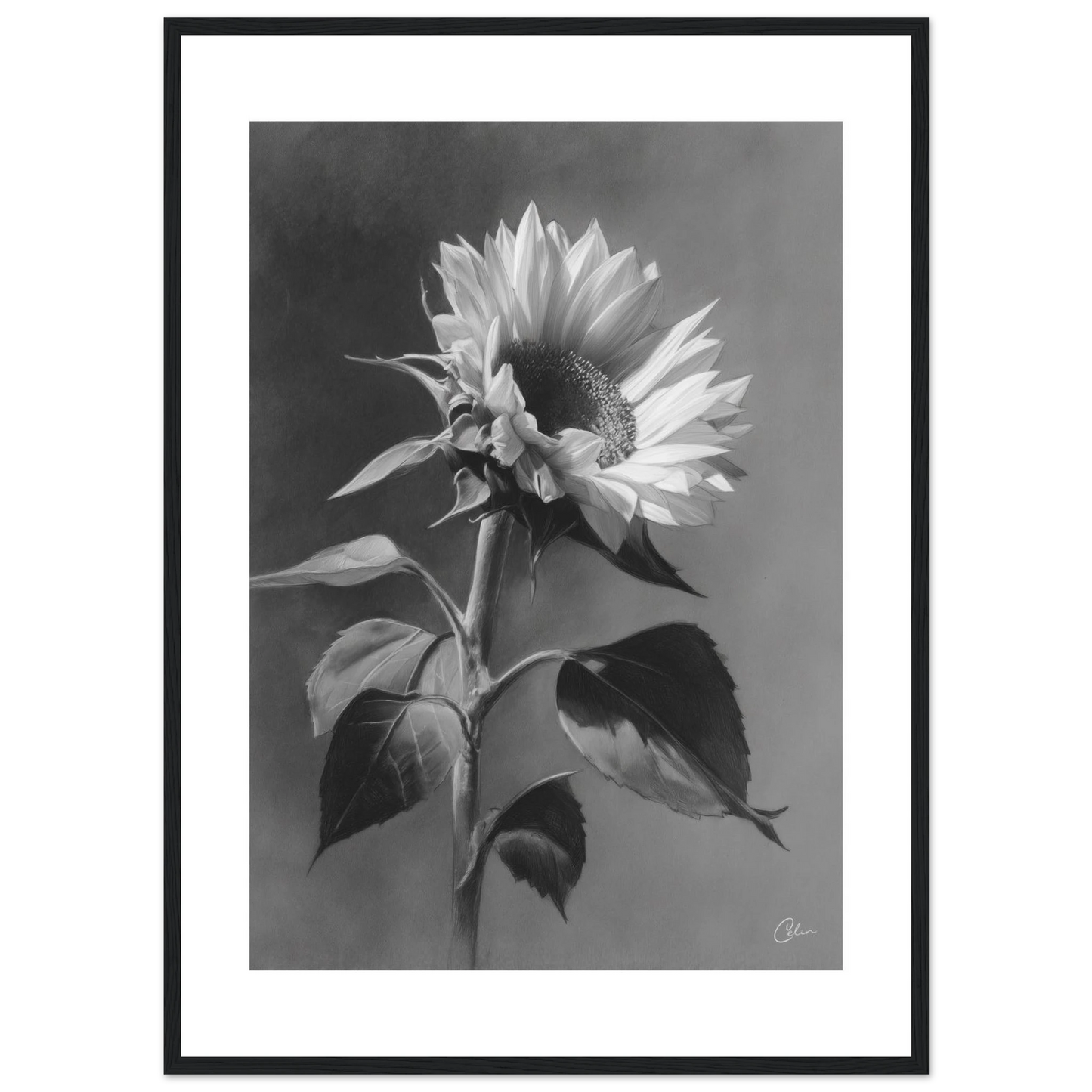 7aa7d167-3da8-4c8b-9926-f9502f724b89