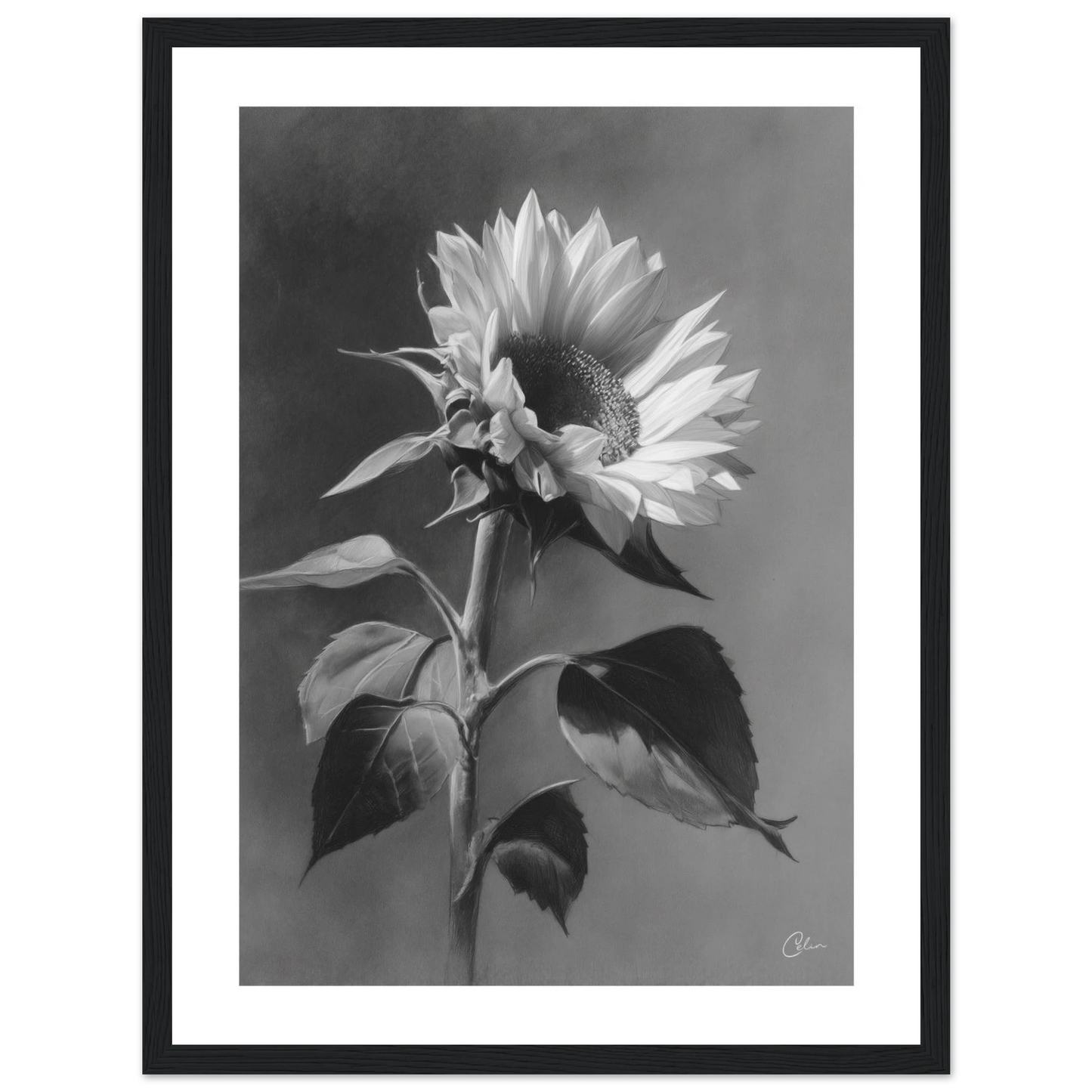 8f194064-9895-42fe-9749-c102fd48c0fd