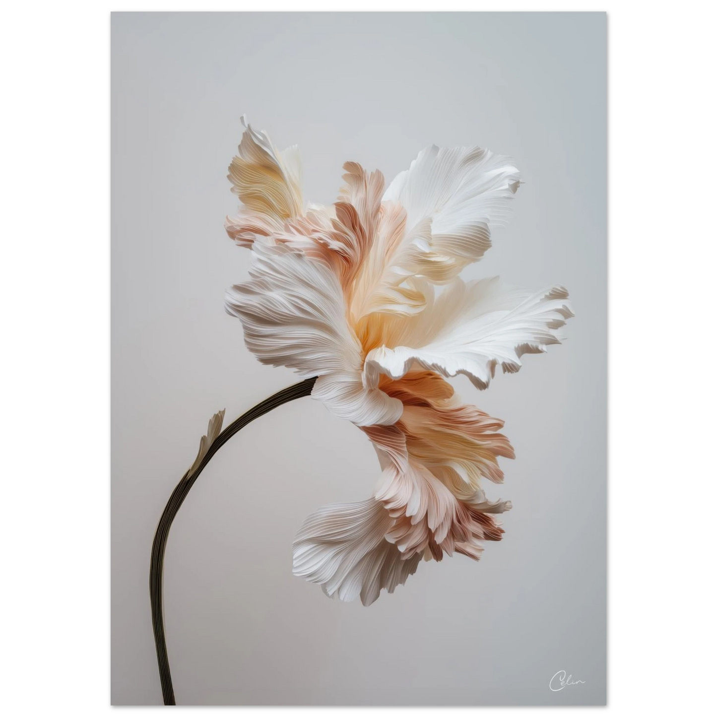 8ff6ea68-8b2c-41c5-be2b-4c07cb4b4acd