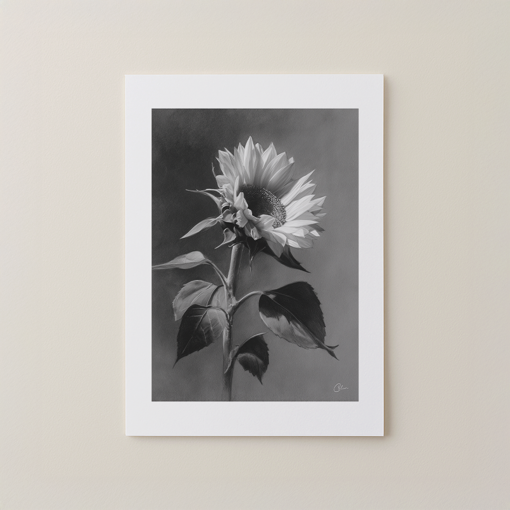 Charcoal Sunflower