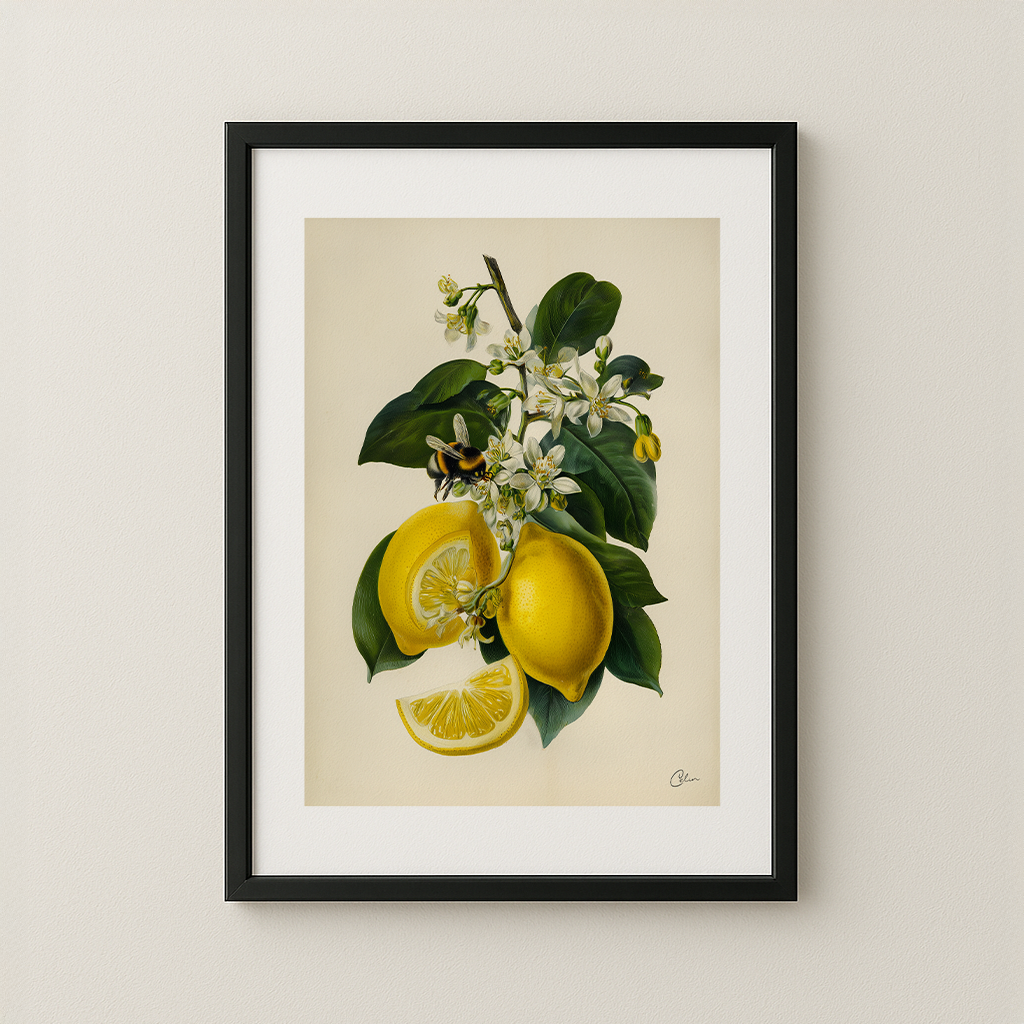 Citrus Study