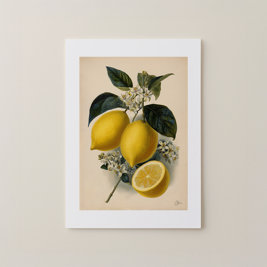Lemon Study