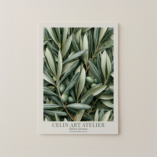 Olive Grove