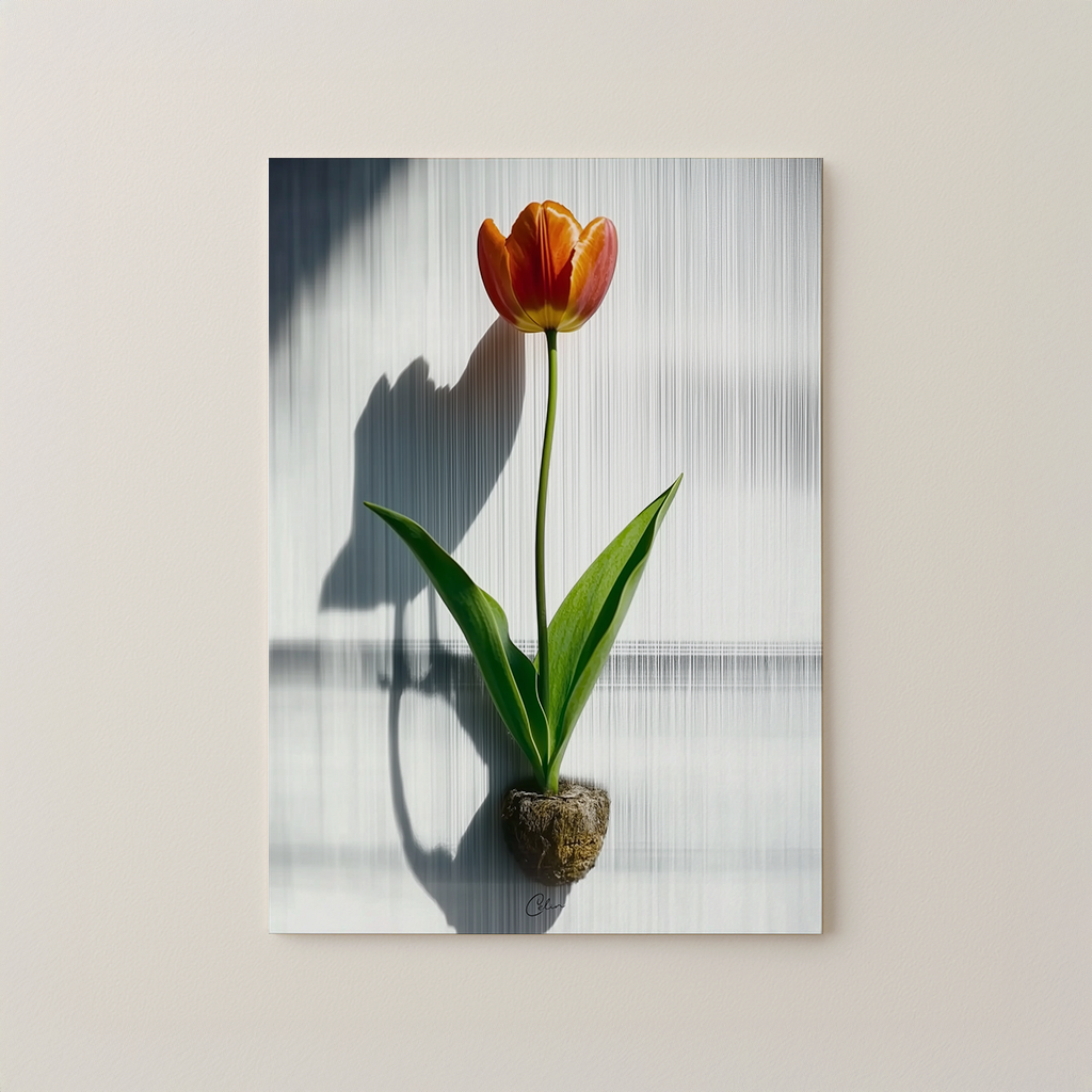 Rootlight