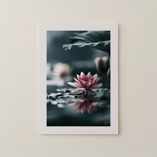 Still Bloom