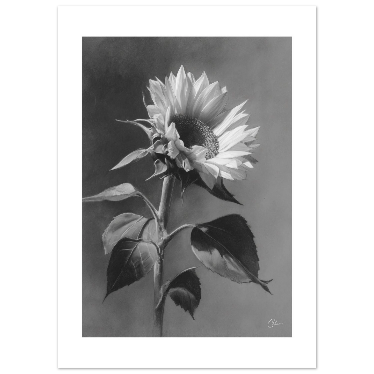 a1e4db4c-7dc9-4f2a-a2f0-6af2a597cec0