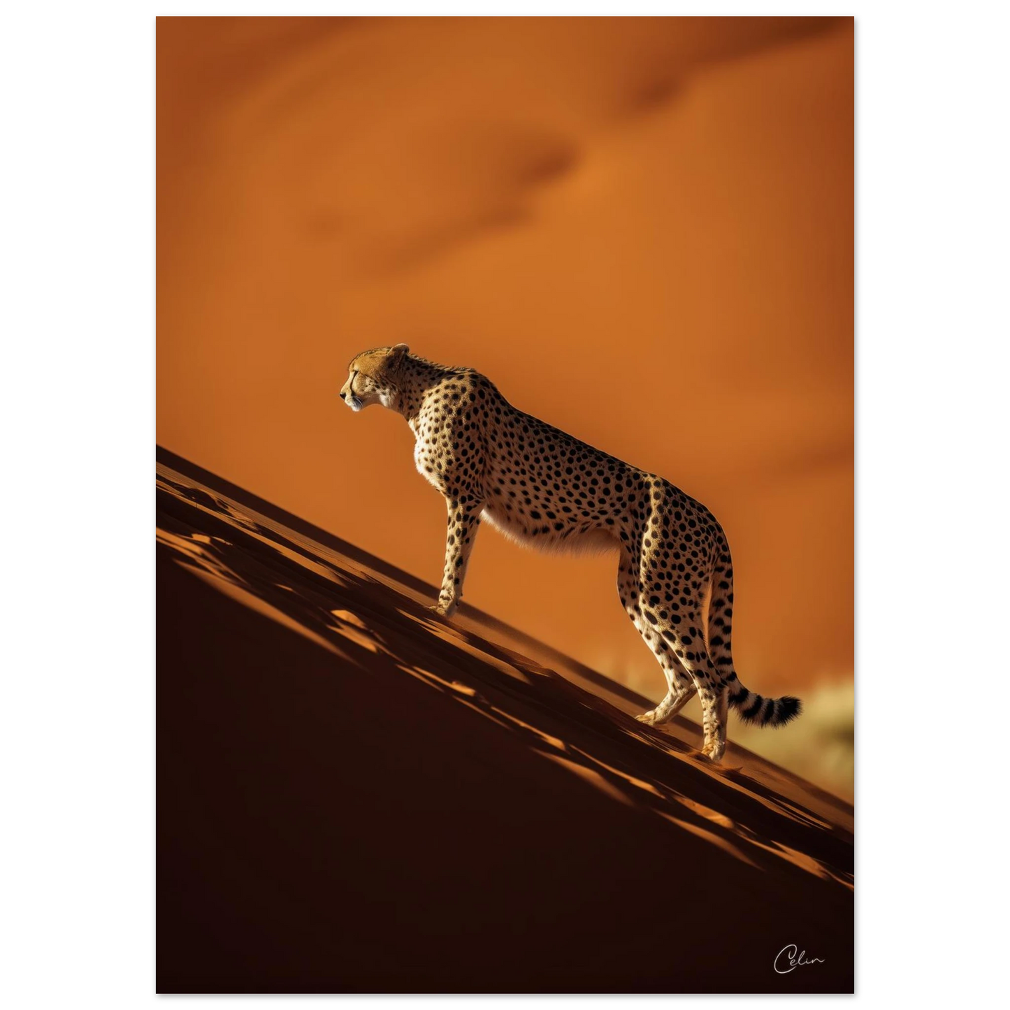 af71fc89-2f44-49cf-a57b-ce9f8062b2ee