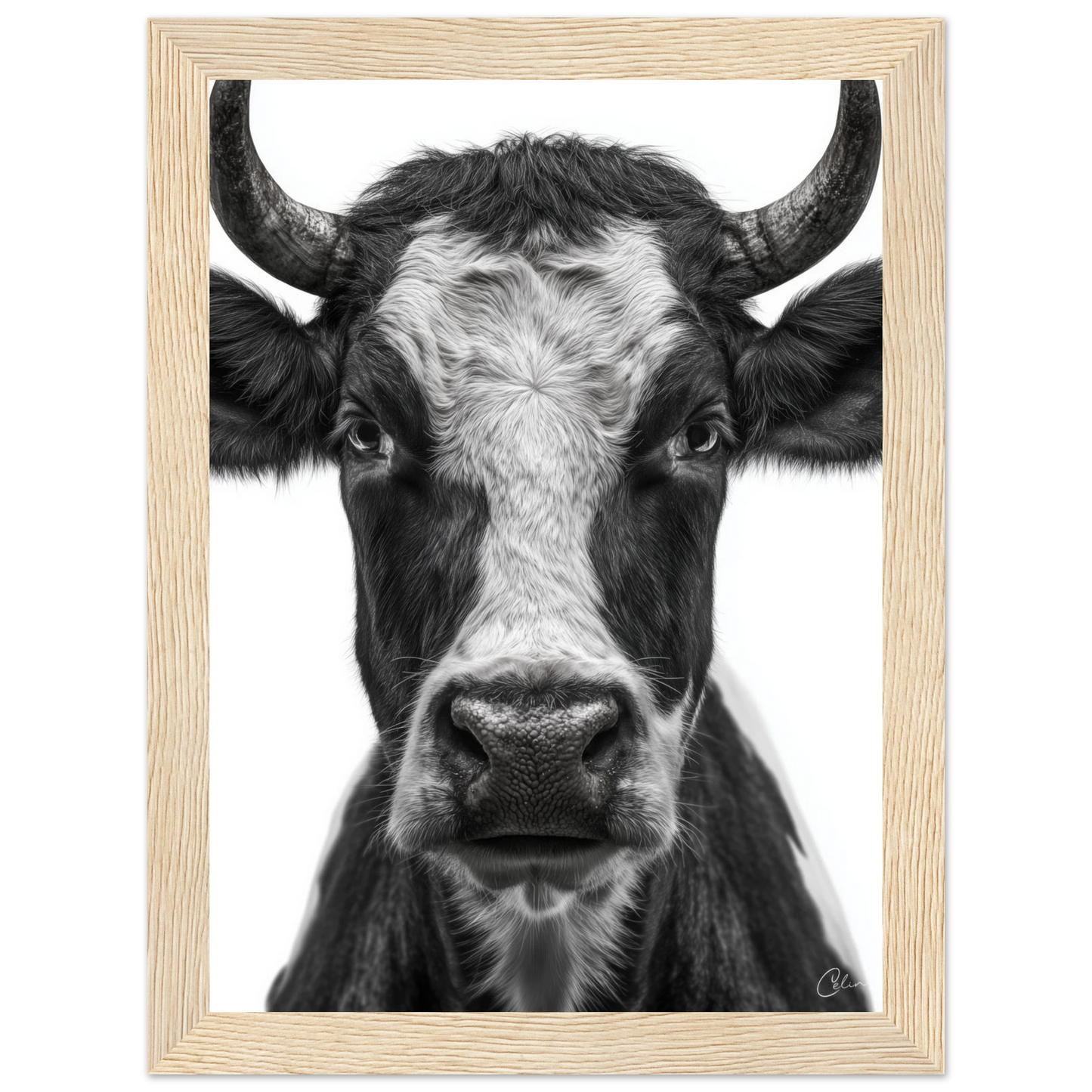 c7bb6312-dfb0-46a4-80aa-dfafa513b5a6