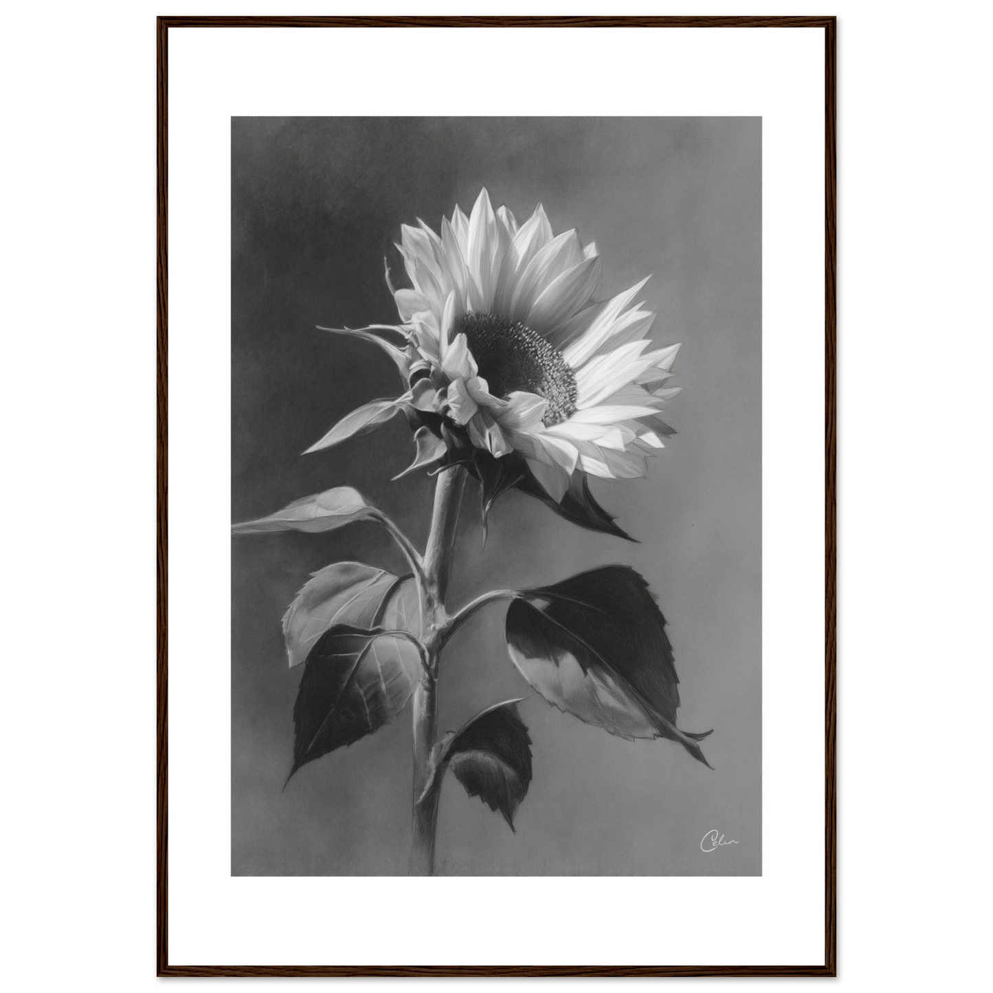 ca2ed1c2-916c-4c77-93fe-4dcc39564682