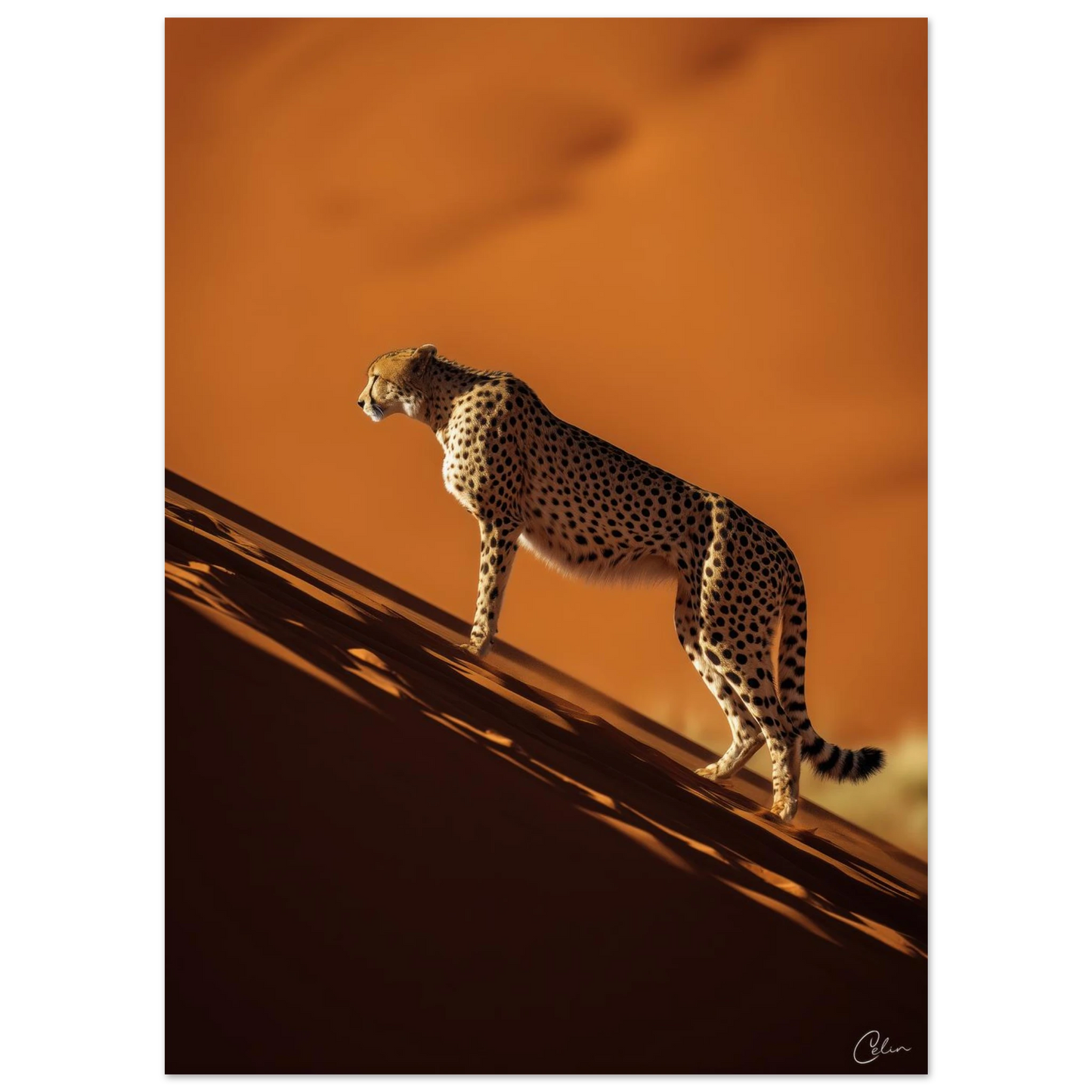 cad2882a-f5fc-44d3-9792-a11c7eb377c5