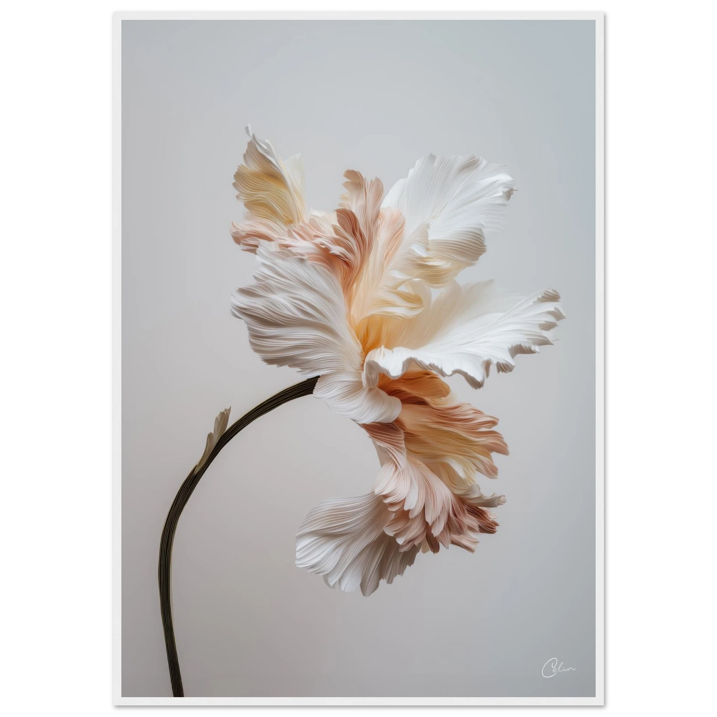 ce491995-828e-45d1-9f21-9e4077b456c1