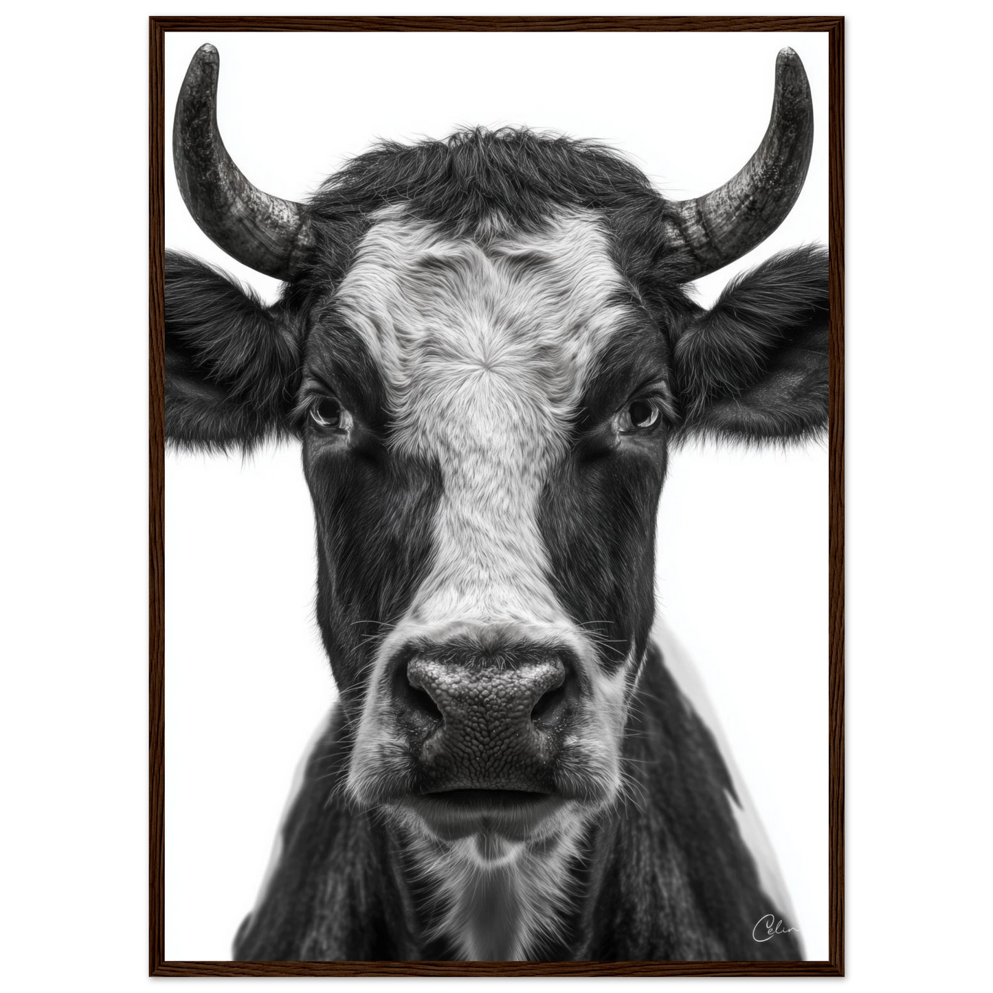 d8b92ebc-d9f2-4247-86a7-0b749c5efc82