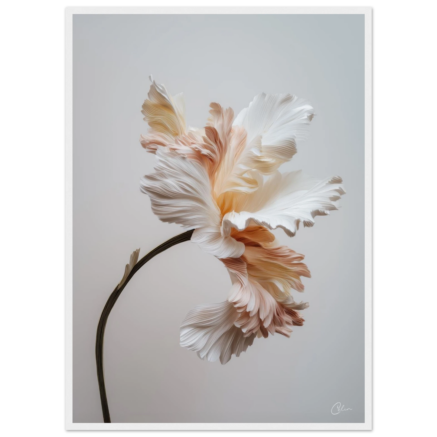 dabbca86-bca9-4f41-8342-4ca46079cc07