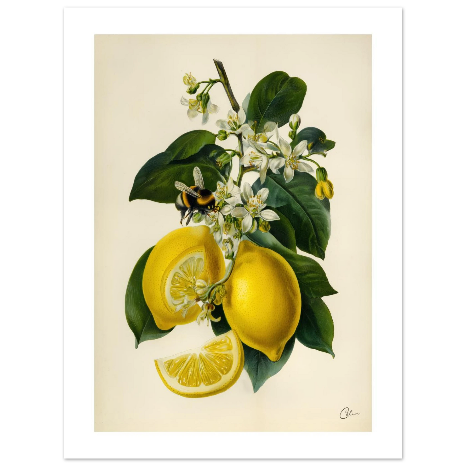 dd654465-0492-47ea-9778-555684f0f3ff