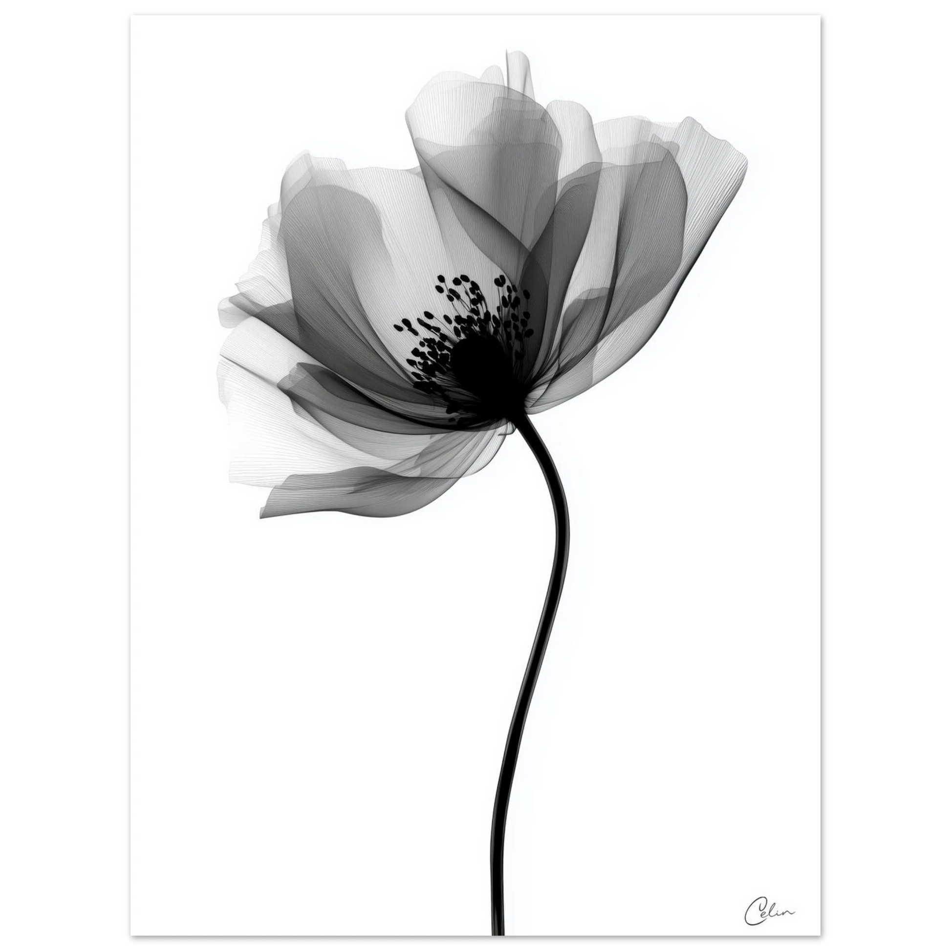 e5110955-a63c-4950-a68e-80c26ece3c05