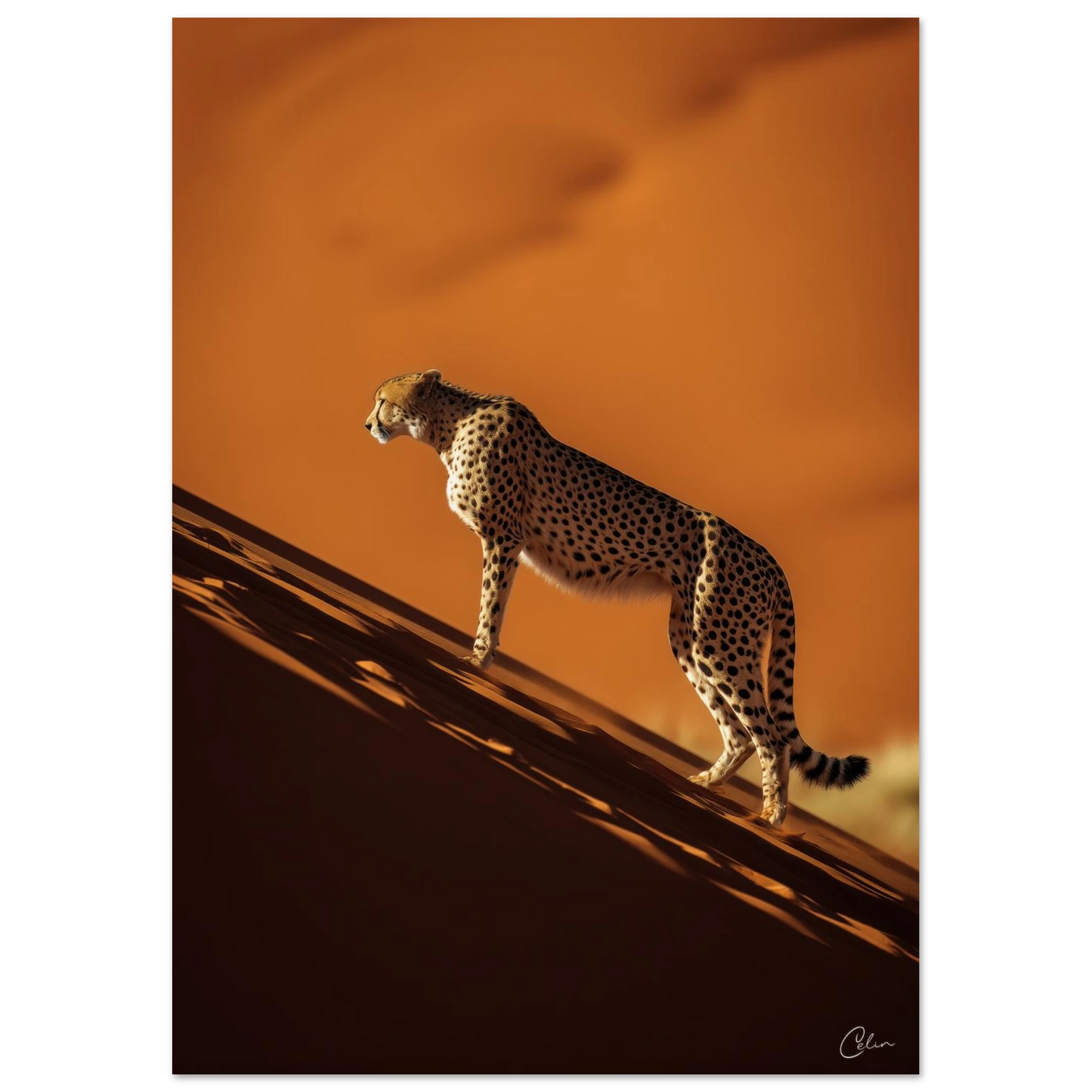 e6eeff09-33ce-48ab-8291-a9e2e2cd4075