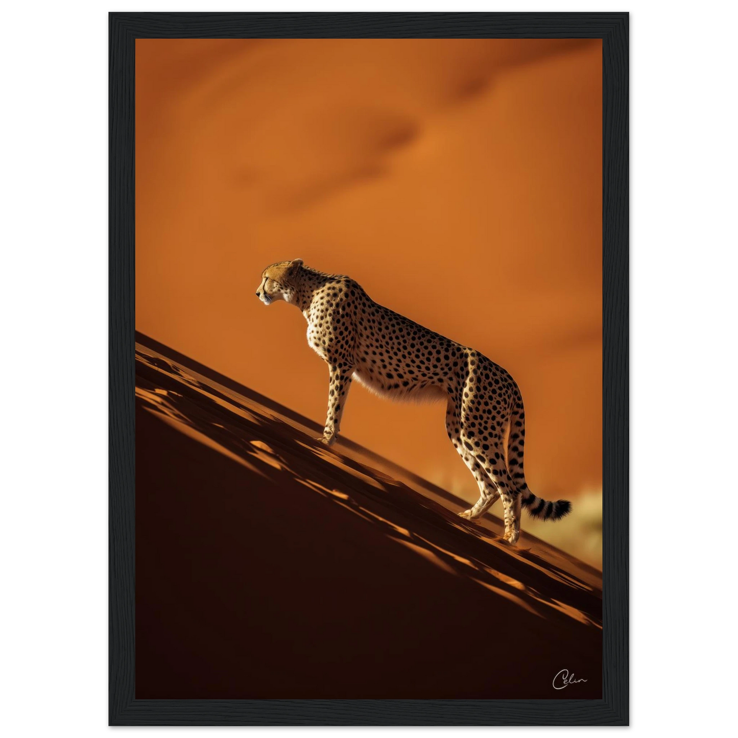 f9ed79b9-a60c-4313-beef-1b300c7c6f96