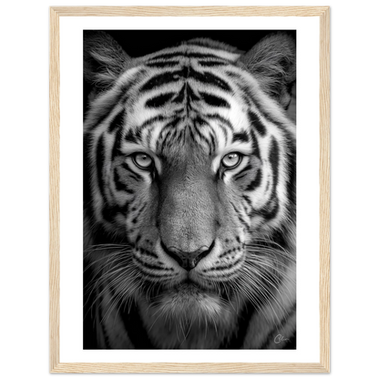 02ec716a-87a1-4e55-8072-9be5843df211