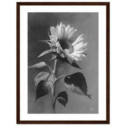 04b8bfb0-513d-405f-9af6-d564fec54a03