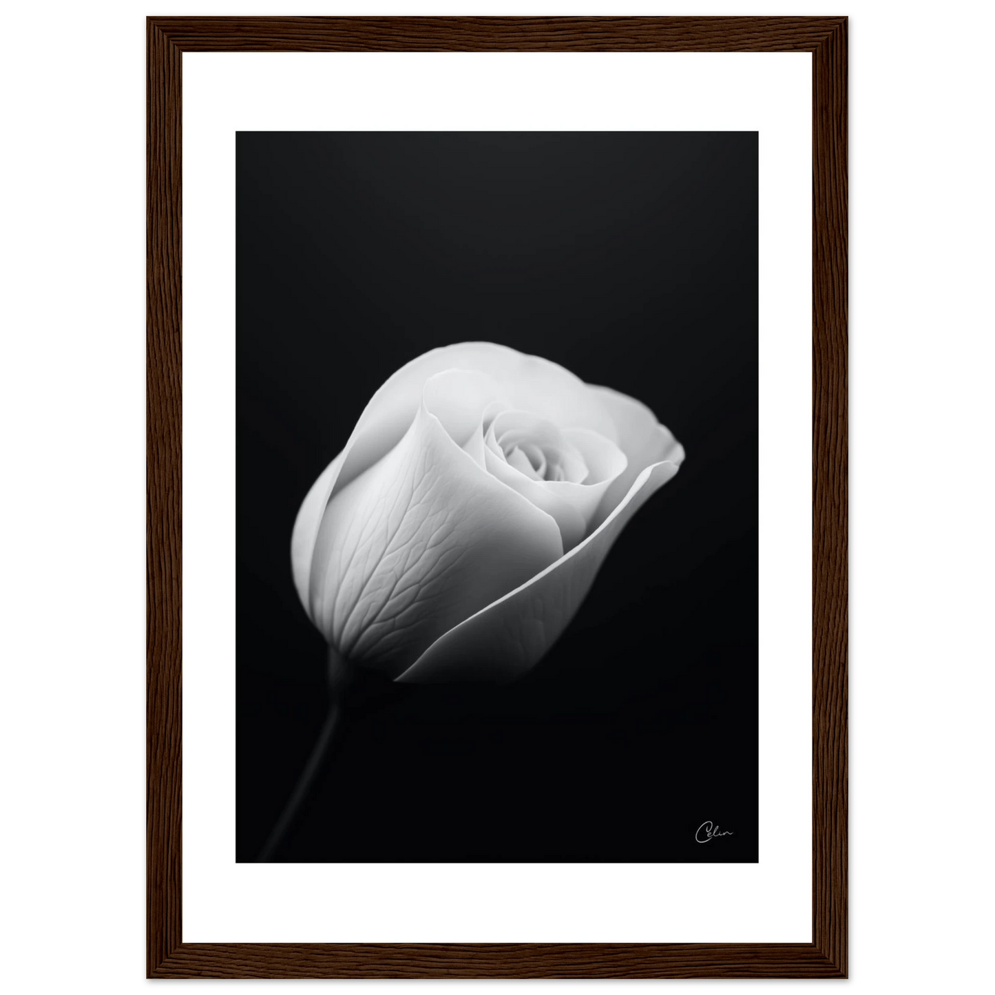 070228d3-2ac2-4160-bfbd-67977401e907