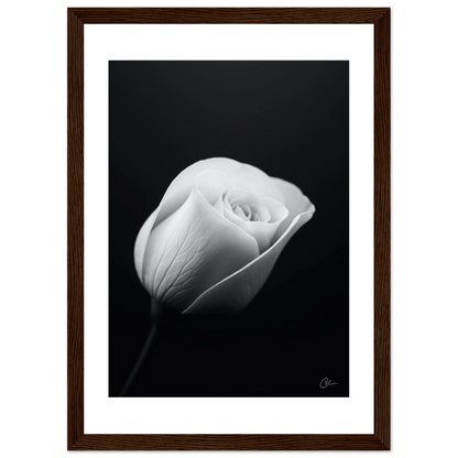 070228d3-2ac2-4160-bfbd-67977401e907