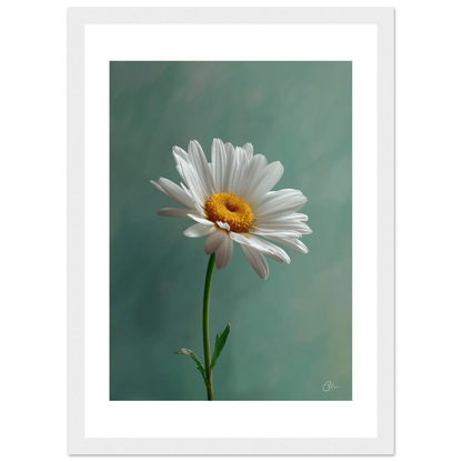 073f9e3b-787a-4744-8b6b-c798843c7f5b