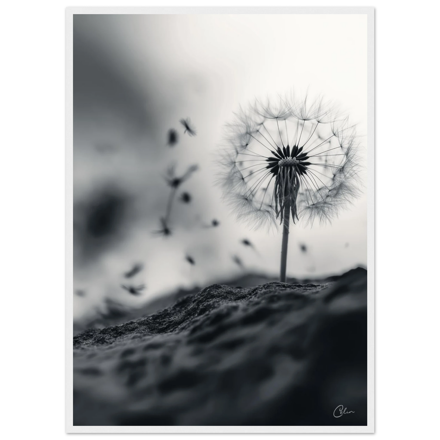 093c5a18-4d5b-4c38-850e-de80b87a90e1