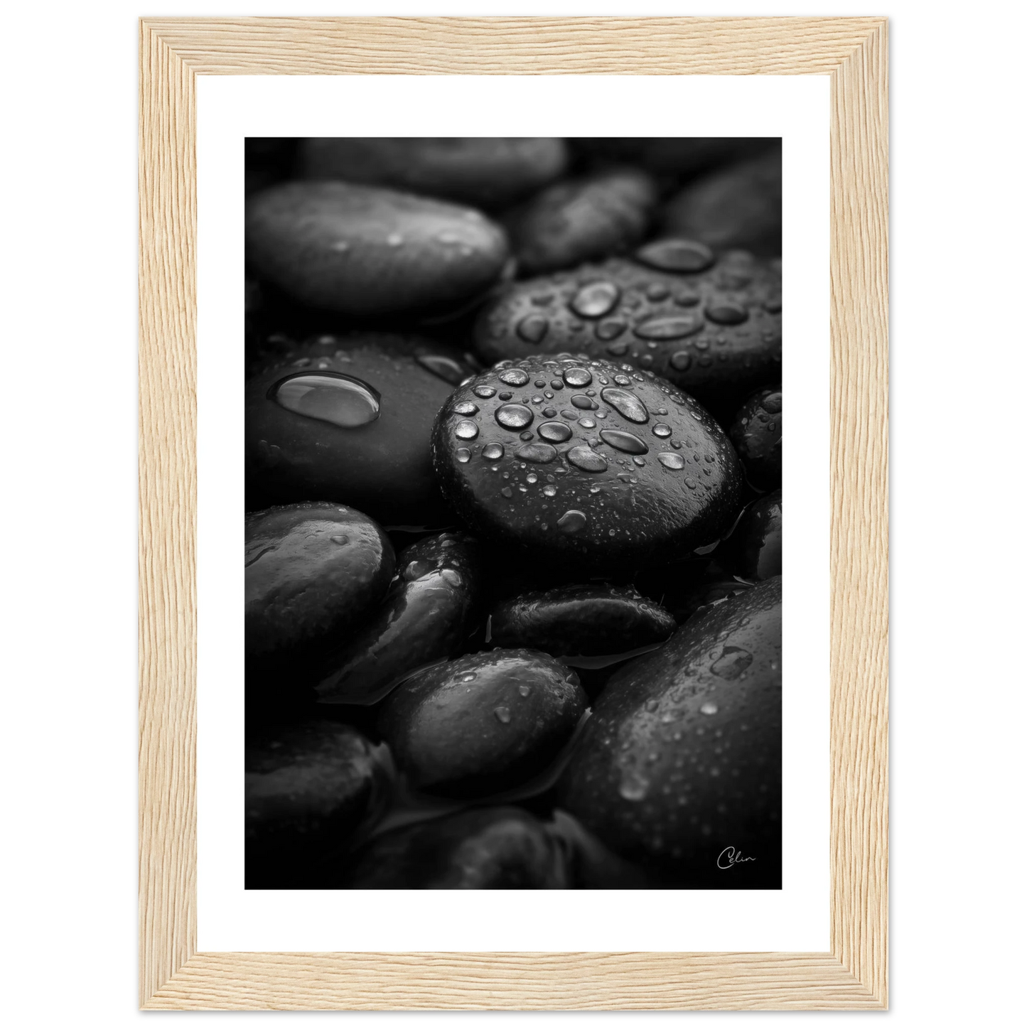 09d24d4b-aaeb-4345-a4a4-008148102185