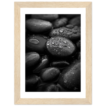 09d24d4b-aaeb-4345-a4a4-008148102185