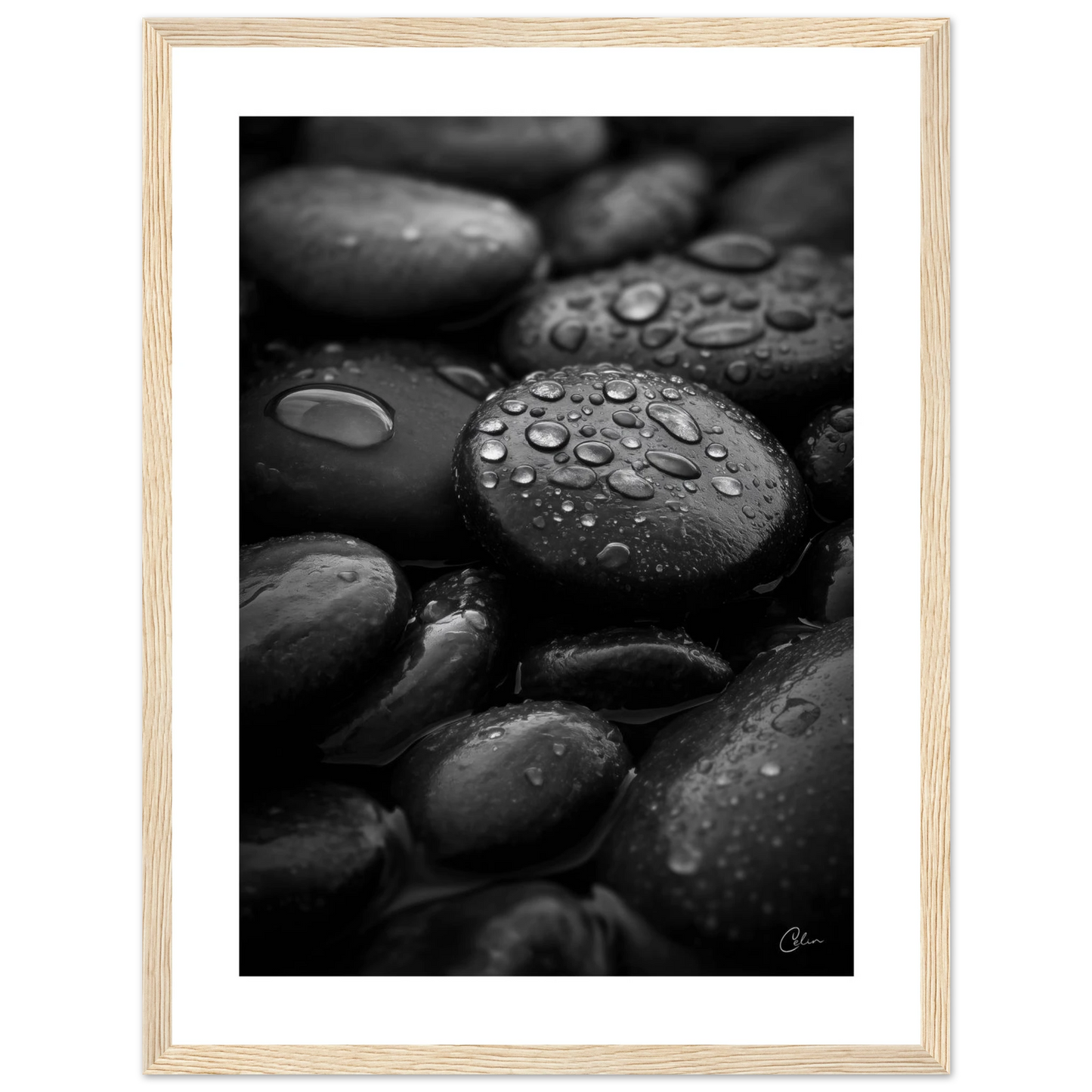 0ca1e007-5d53-4c7f-bd0d-851821491be8