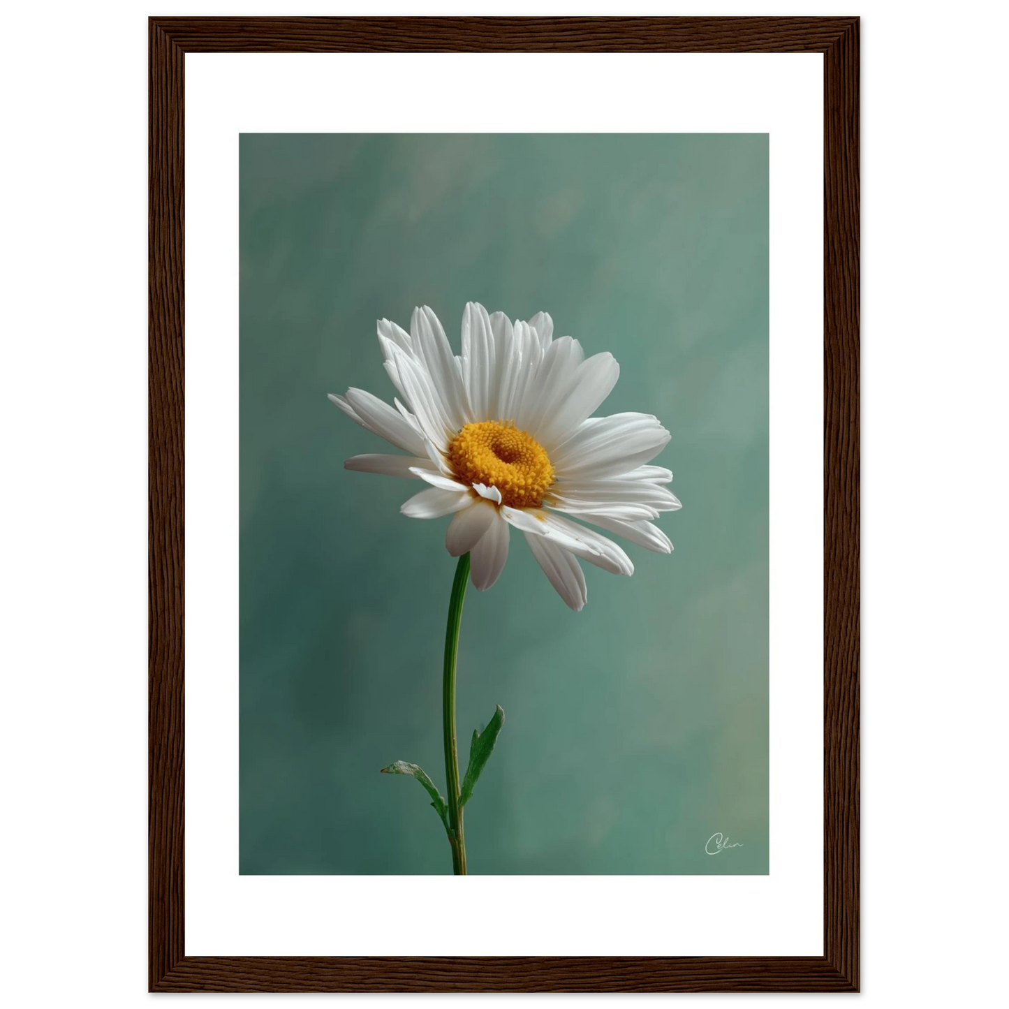 0f705b2f-b51a-4e8d-8303-cd5650a49005