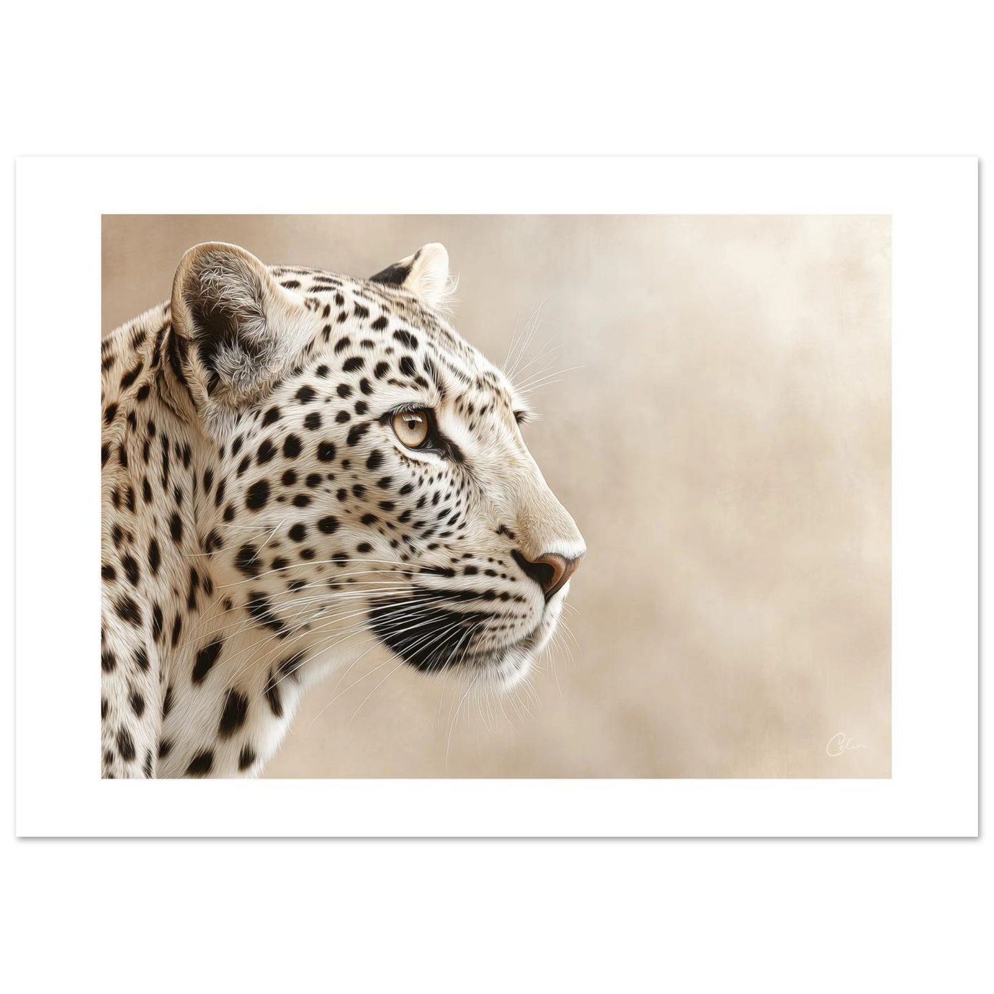 10ef31ed-5629-4ebc-935a-8c7b7af9f711