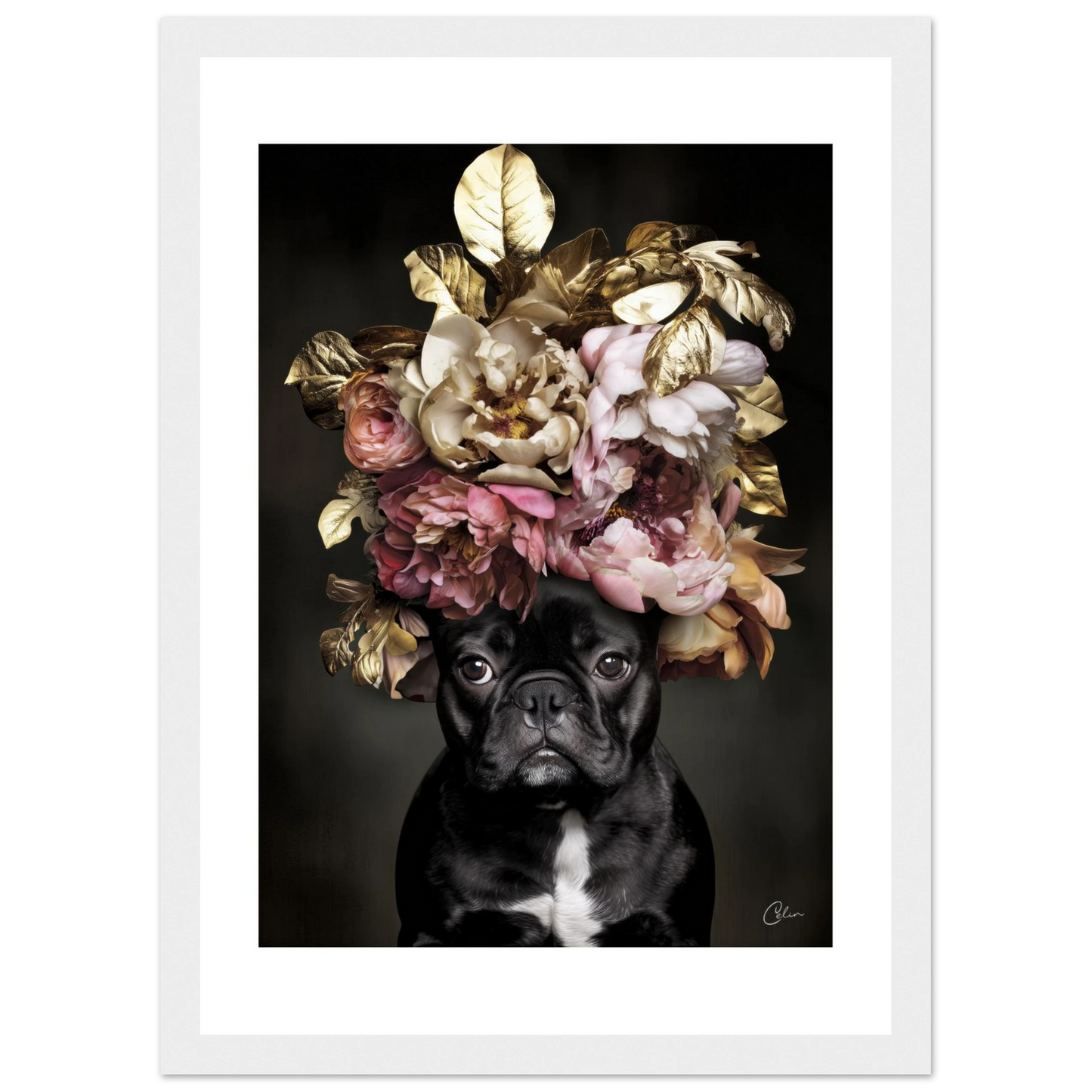 135966c5-3488-44ad-9cfd-ea367242a60a